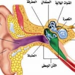 أهم أعراض إلتهاب الاذن الوسطي الحاد لدي الاطفال