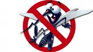 a-importancia-da-politica-nacional-de-combate-a-dengue--chikungunya-e-zika-