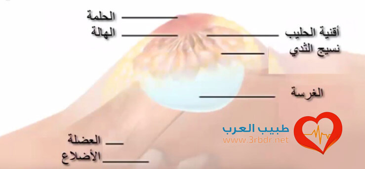 تكبير الثدي في ساعة كيف نقوم بعملية تكبير الثدي