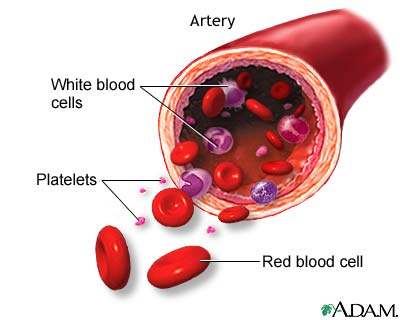 خلايا الدم
