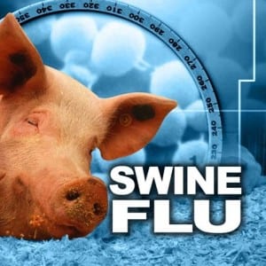 swine-flu