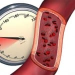 كيف يحافظ الجسم على ضغط الدم