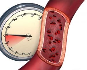 كيف يحافظ الجسم على ضغط الدم