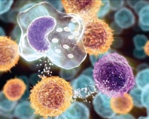 كيف ننشط جهاز المناعة فى جسم الإنسان
