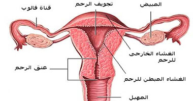 أسباب تأخر الدورة الشهرية عند الفتيات