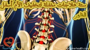 Nerve-roots-in-lower-back