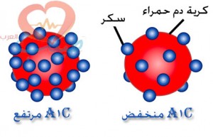 الهيموجلوبين السكري HbA1C الهيموجلوبين السكري HbA1C