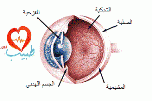 uveitis_figure_1