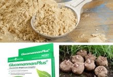 ألياف الجلوكومانان Glucomannan غلوكومانان