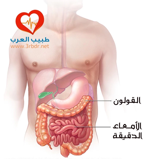 الأطعمه التي تهيج القولون العصبي الأطعمة المضرة للقولون العصبي