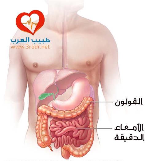 الأطعمة التي تهيج القولون العصبي الأطعمة التي تضر بمتلازمة القولون العصبي